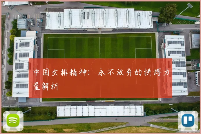 中国女排精神：永不放弃的拼搏力量解析