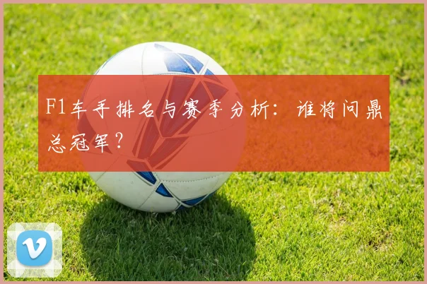F1车手排名与赛季分析:谁将问鼎总冠军?