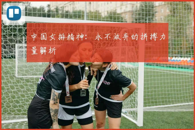 中国女排精神：永不放弃的拼搏力量解析